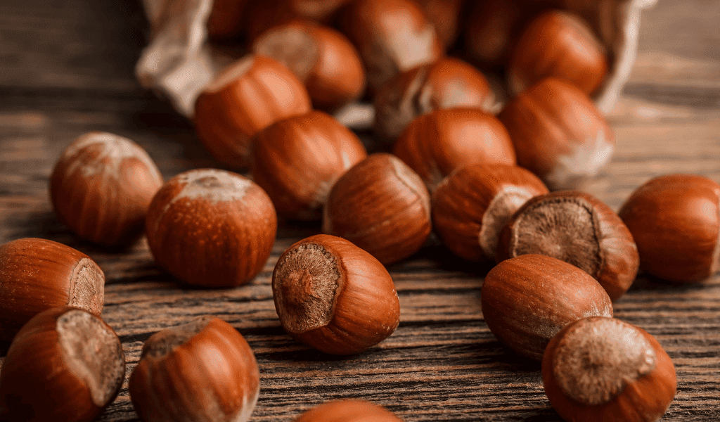 manfaat hazelnut